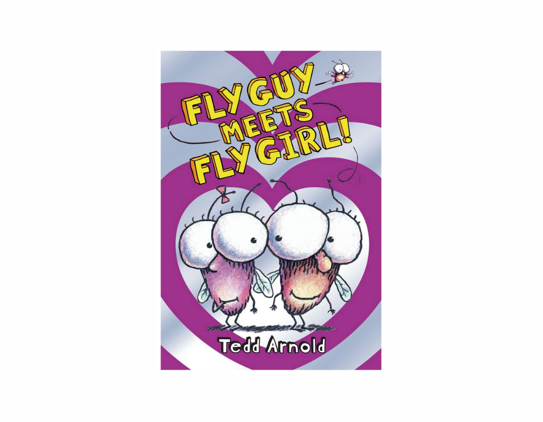 Colección Fly Guy Completa 1-21 Libros