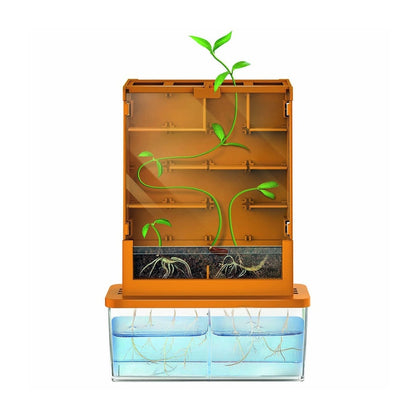 Crea tu Propio Laberinto Green Science 4M