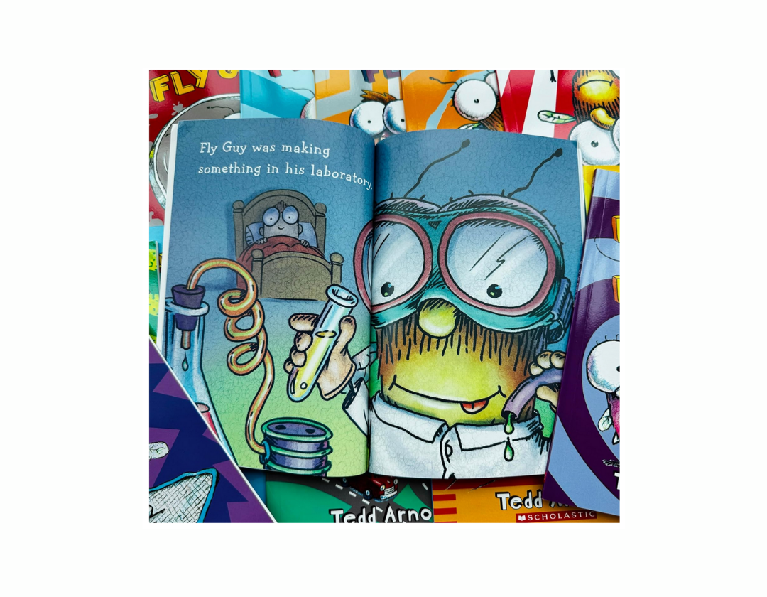 Colección Fly Guy Completa 1-21 Libros