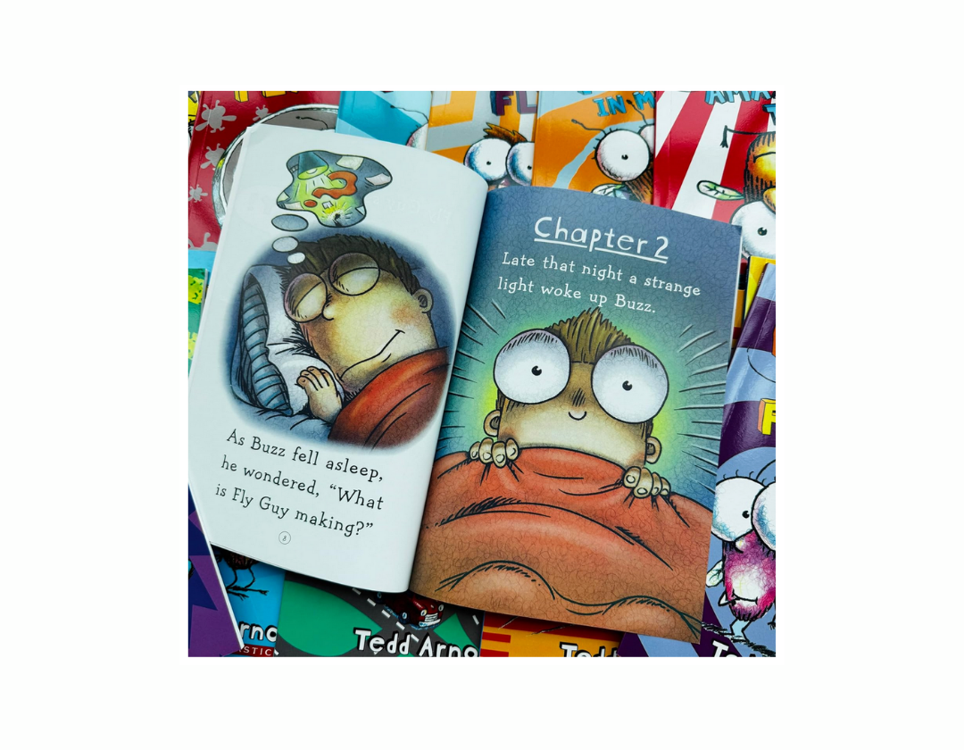 Colección Fly Guy Completa 1-21 Libros