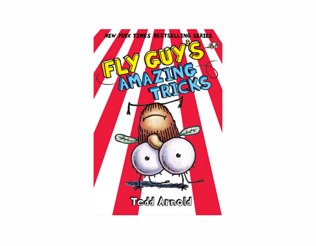 Colección Fly Guy Completa 1-21 Libros