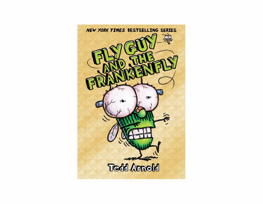 Colección Fly Guy Completa 1-21 Libros