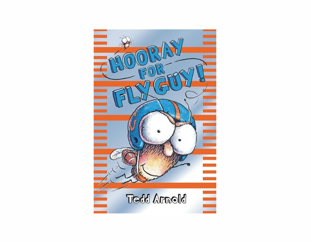 Colección Fly Guy Completa 1-21 Libros