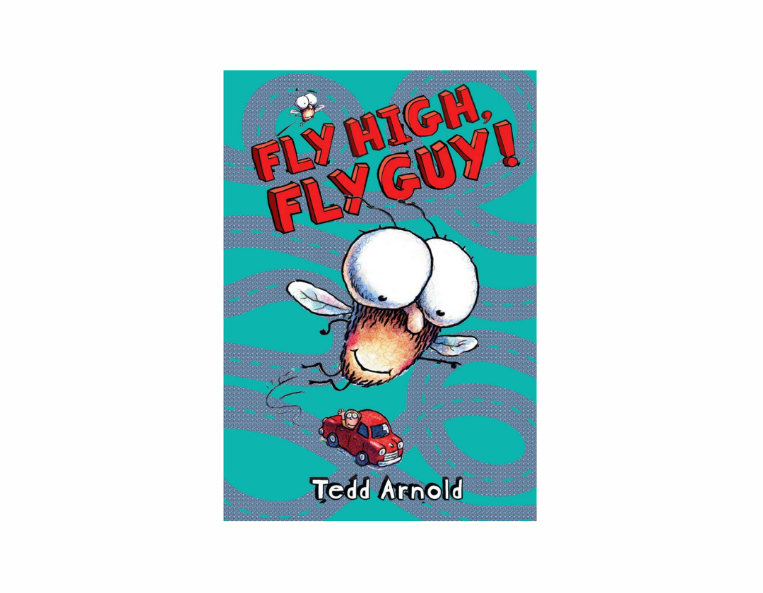 Colección Fly Guy Completa 1-21 Libros
