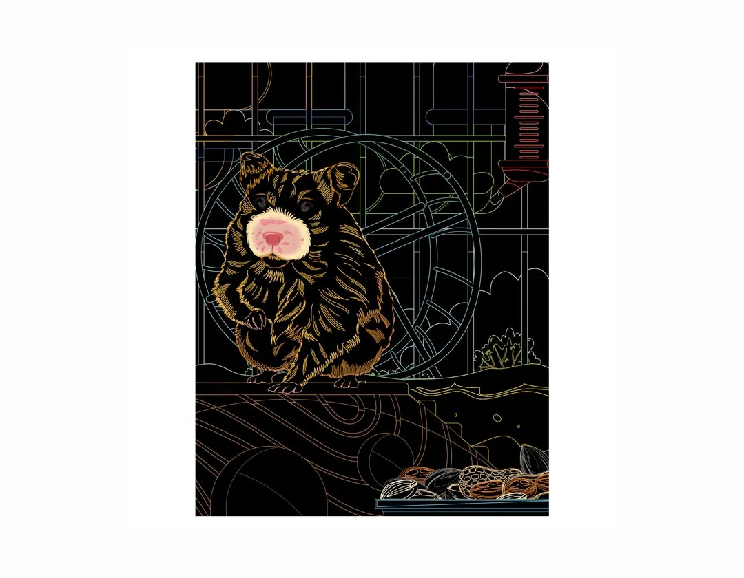 Libros de raspar y colorear- Mascotas