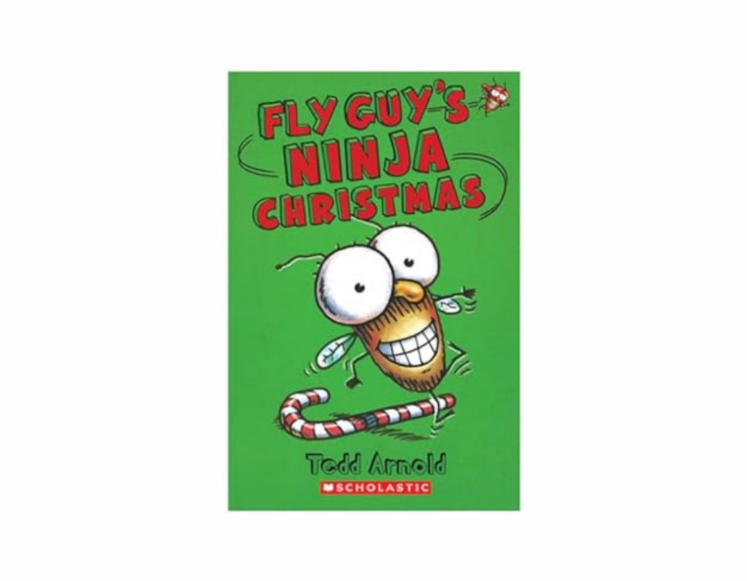 Colección Fly Guy Completa 1-21 Libros