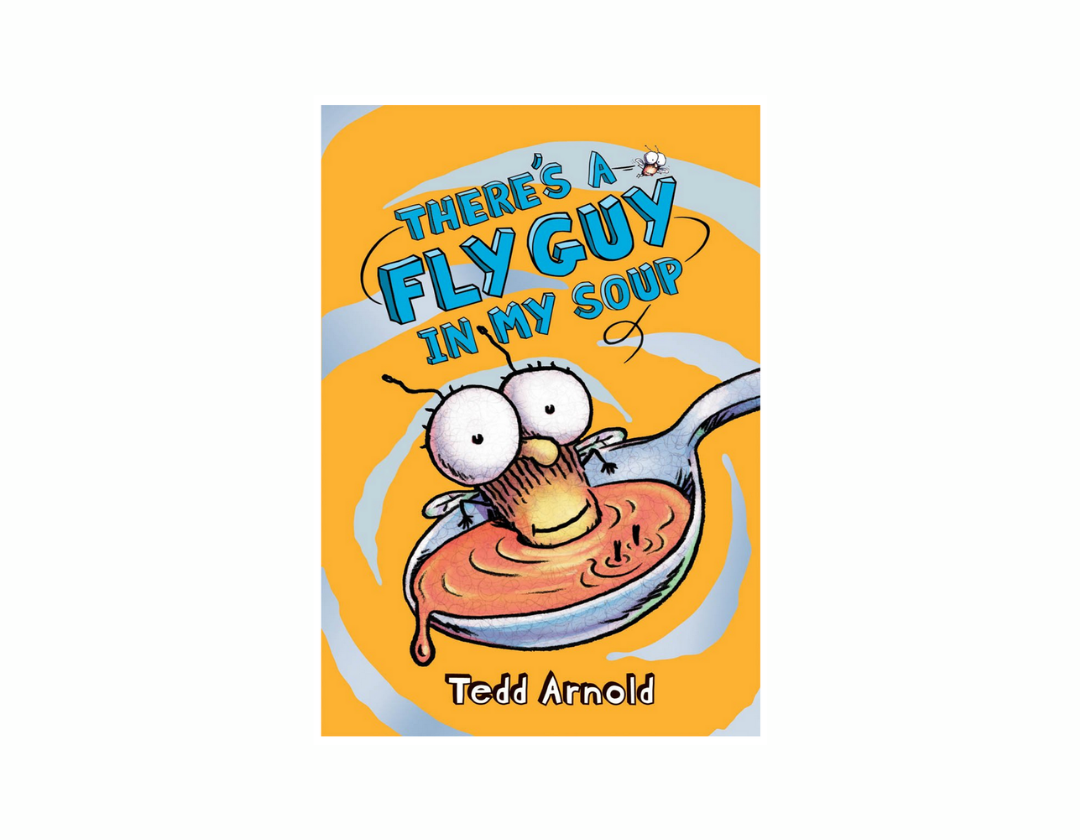 Colección Fly Guy Completa 1-21 Libros