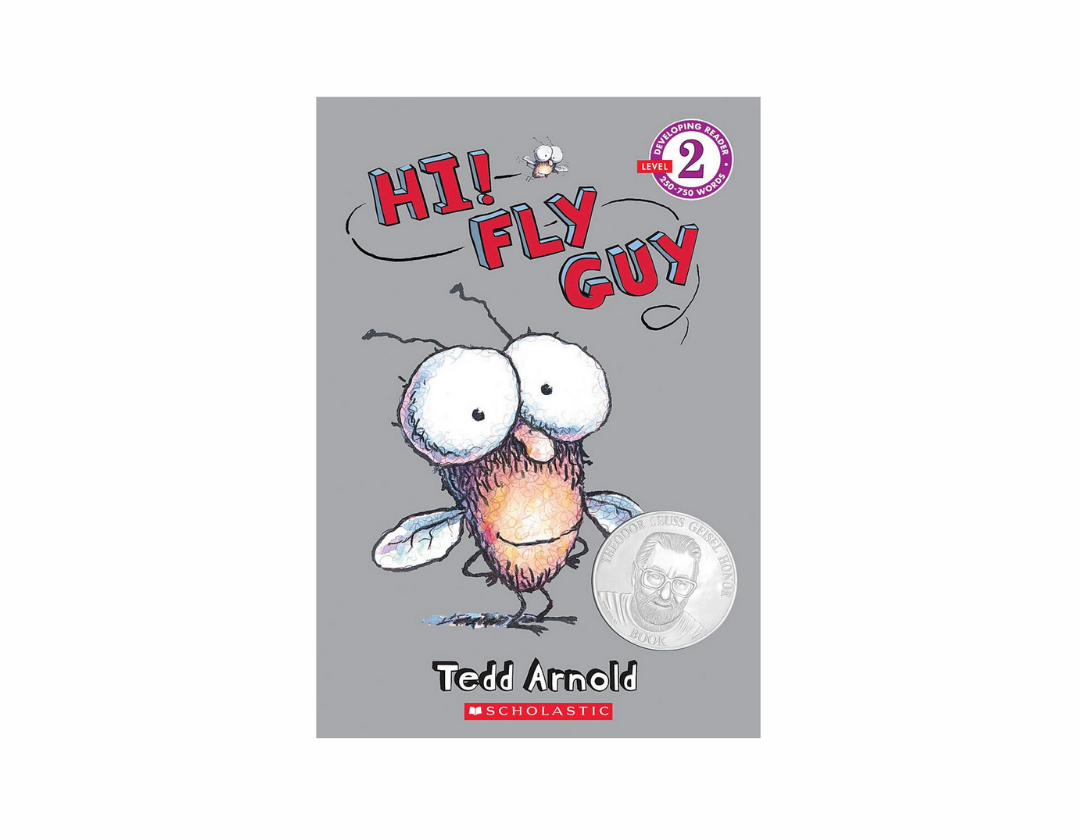 Colección Fly Guy Completa 1-21 Libros