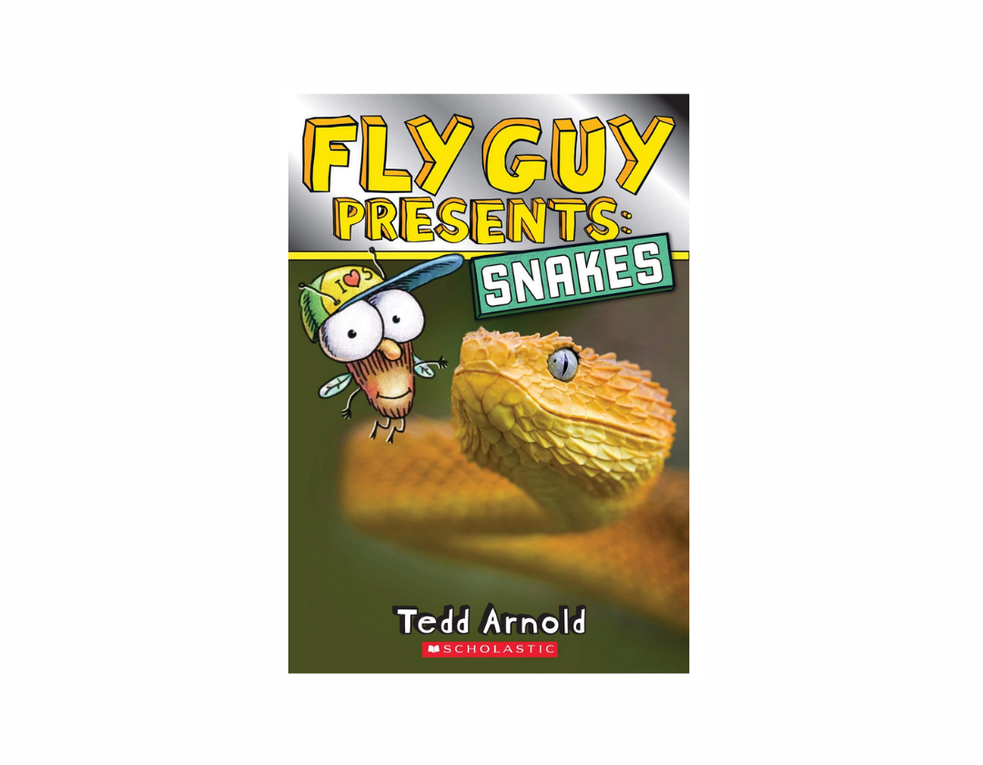 Colección Fly Guy Presents Set Educativo