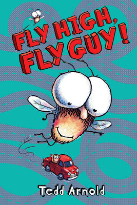 Fly High Fly Guy!