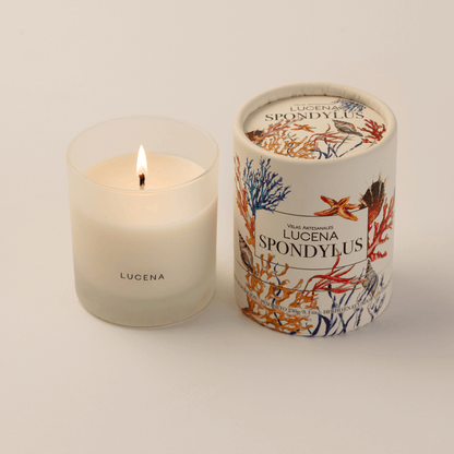 Velas Lucena