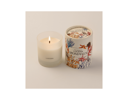 Lucena Candles