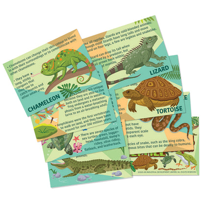 Reptiles y Anfibios Mould and Paint 4M