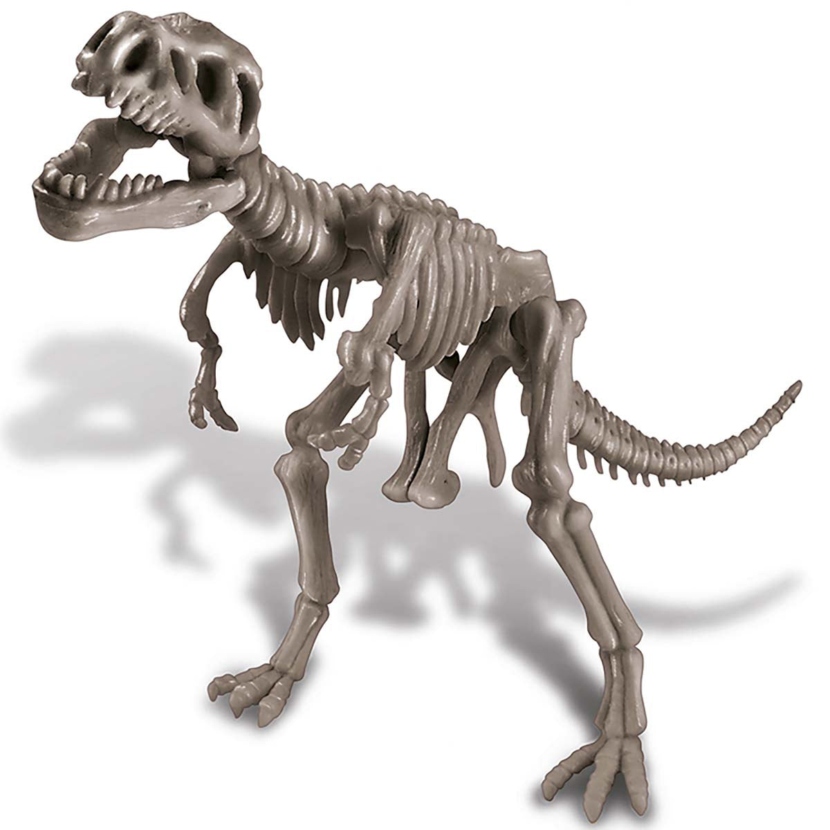 Excavación de Dinosaurios T-Rex Kidz Labs 4M
