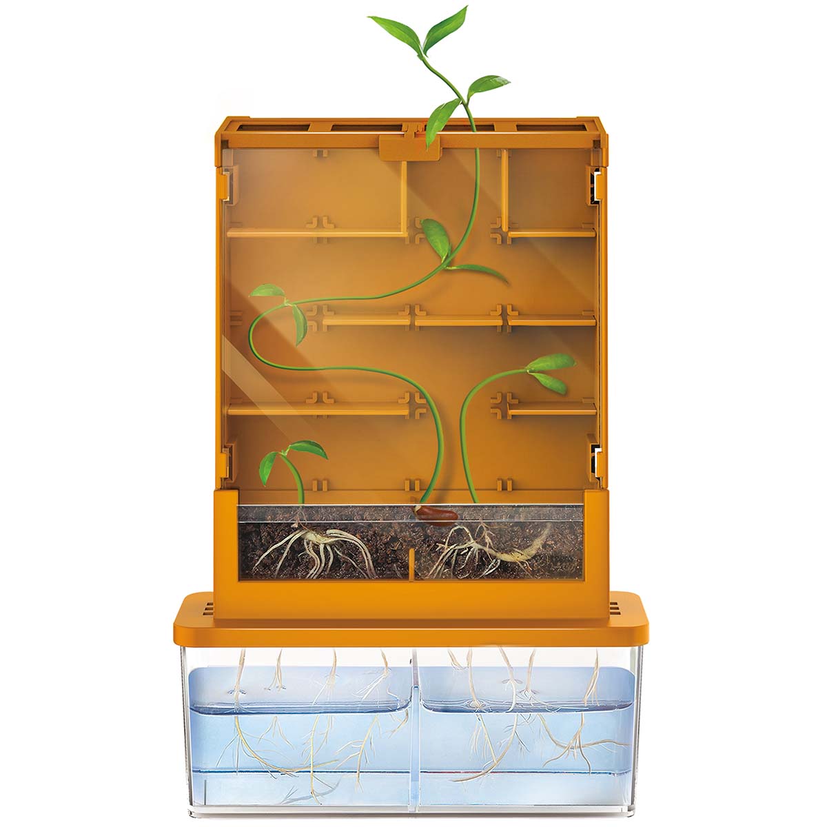 Crea tu Propio Laberinto Green Science 4M