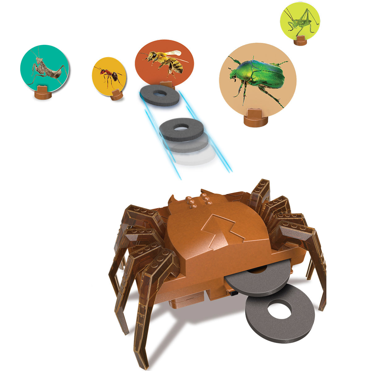 Lanzador de Discos SpiderBot KidzRobotix 4M