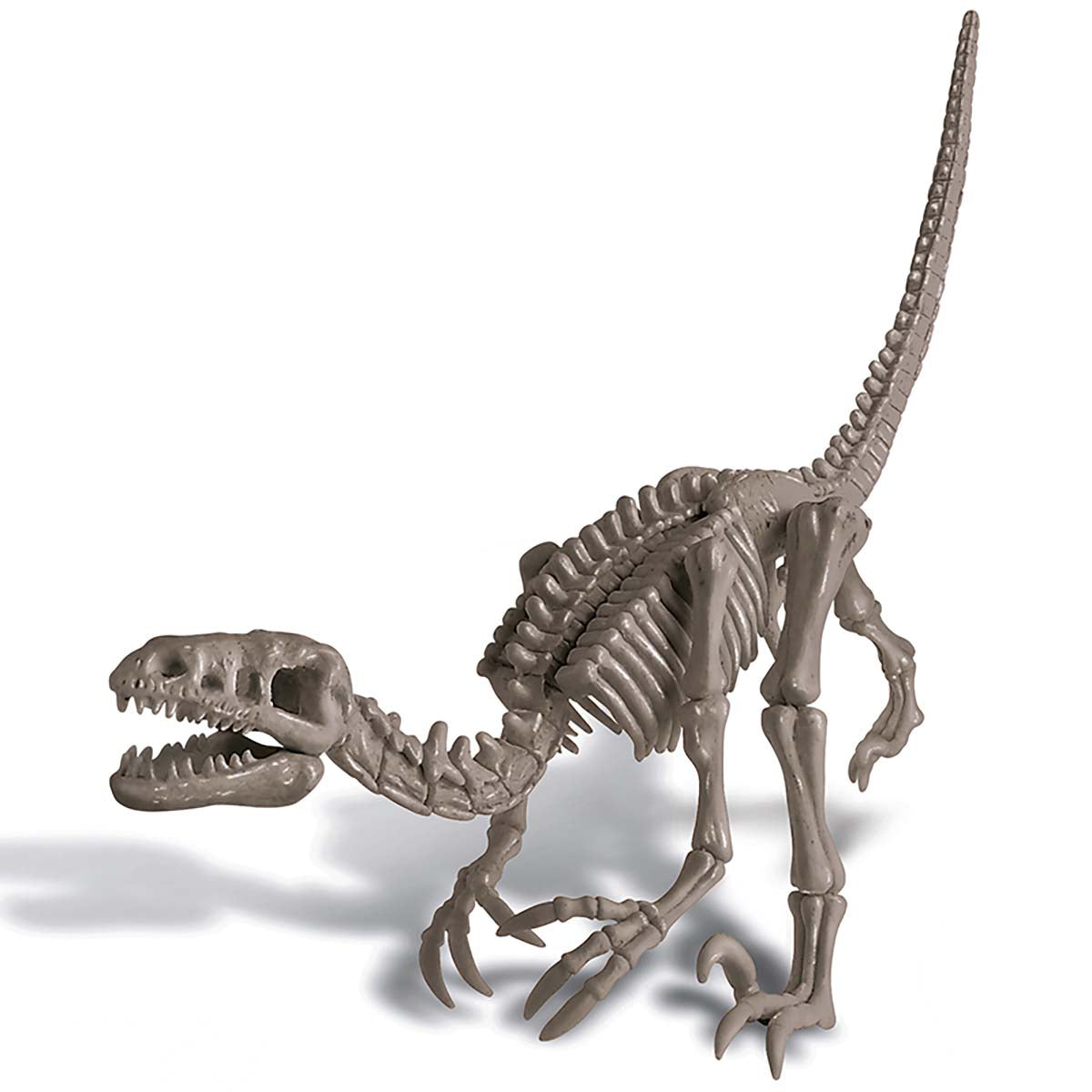 Excavación de Dinosaurio Velociraptor Kidz Lab 4M