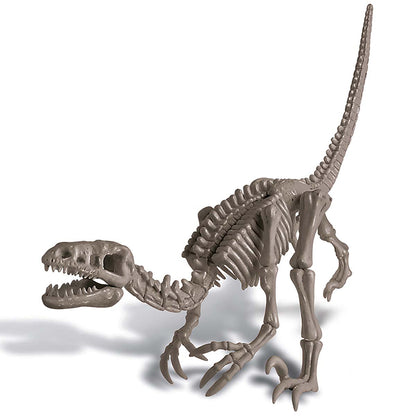 Excavación de Dinosaurio Velociraptor Kidz Lab 4M