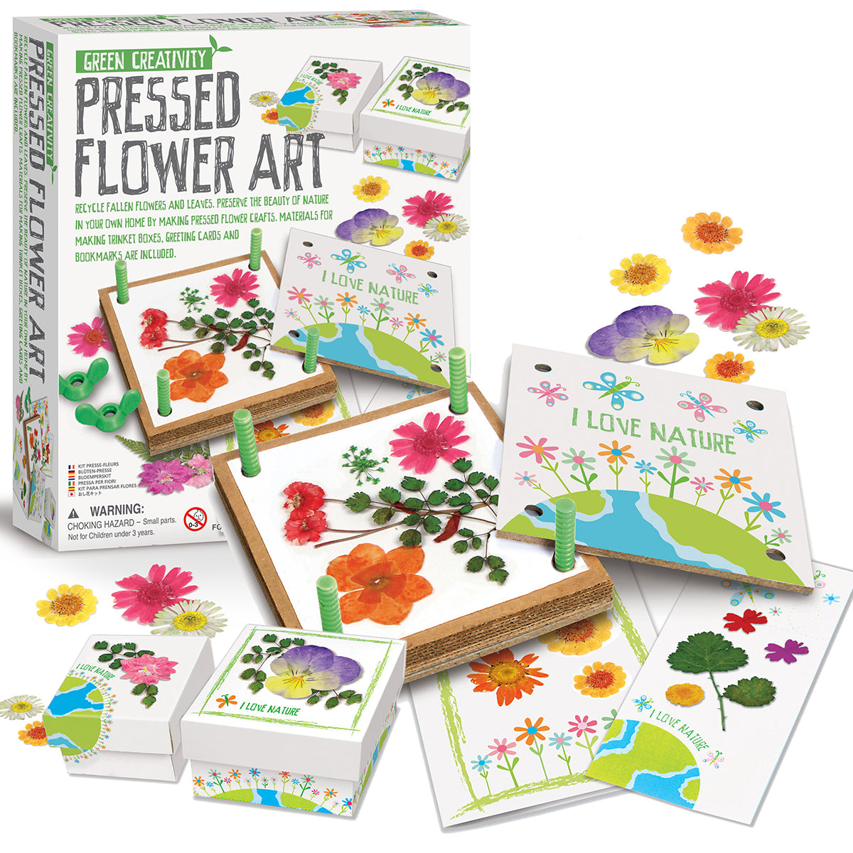 Arte con Flores Prensadas 4M