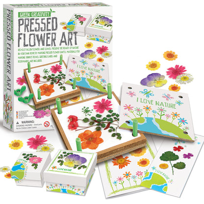 Arte con Flores Prensadas 4M