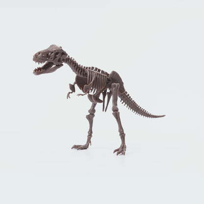 Excavación de Dinosaurios T-Rex Kidz Labs 4M